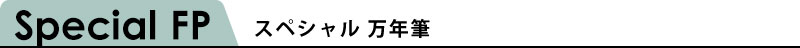 カヴェコスペシャル万年筆