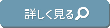 詳しく見る